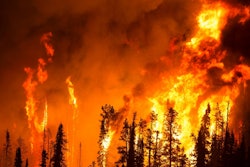 forest fire 5a302797a3c8f