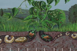 Pest Control 5a6b78bec5242
