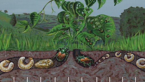 Pest Control 5a6b78bec5242