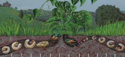 Pest Control 5a6b78bec5242