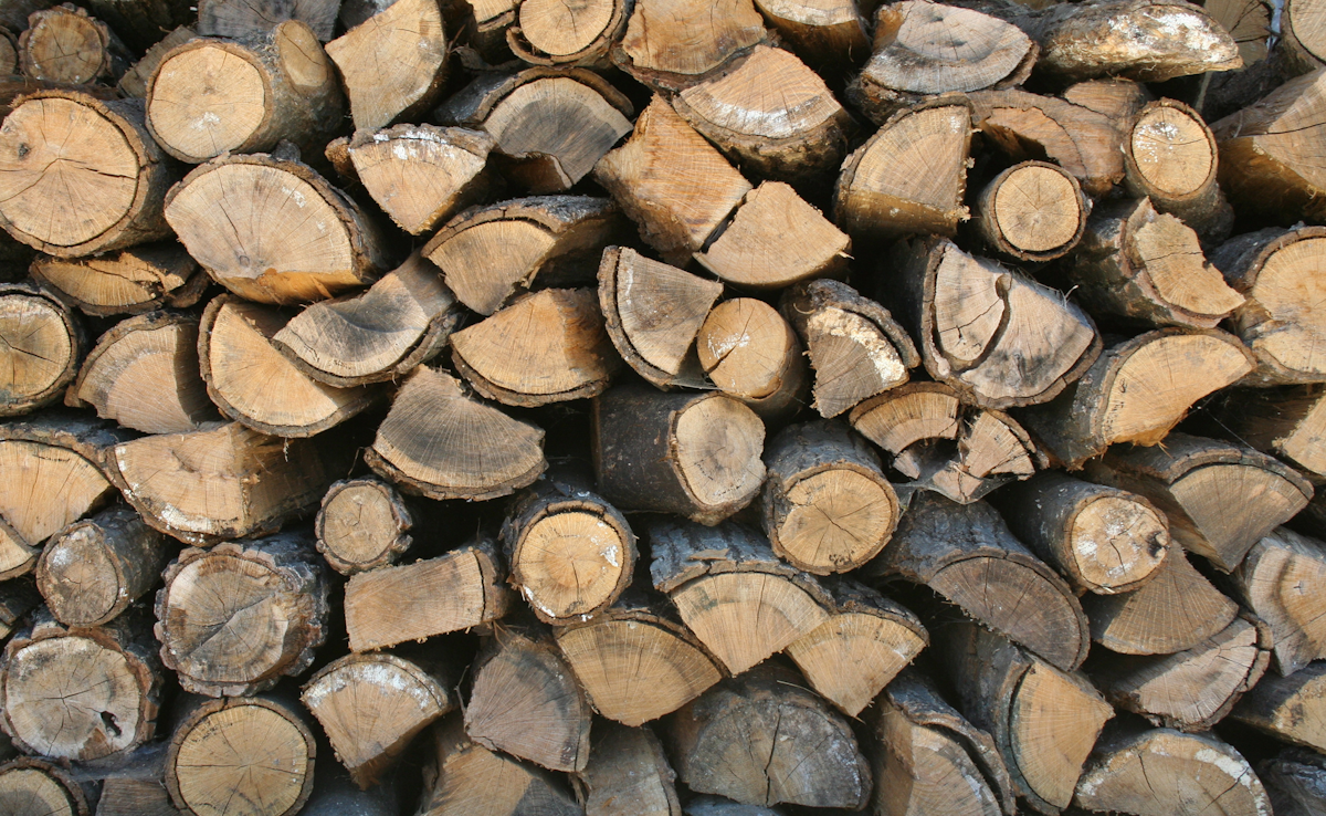 Firewood Business Helps Fuel Ohio Landscaping Tree And Lawn