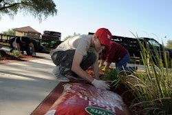 Landscaping 5a942e77bc5bc