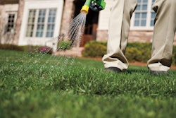 Liquid herbicide formulations result in overall better coverage than granular herbicides.