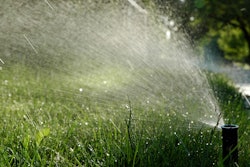 33362501875 0d0e78d669 o 5ad4c78483fe5