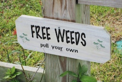 Grass Sign 5ad4c10abb881