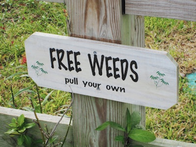 Grass Sign 5ad4c10abb881