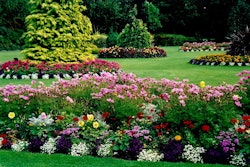 Landscaping 5ae0a2c253ec2