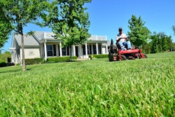 Lawn Care 5ade04ec7e17d