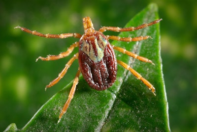 Tick 5afad17ab7255