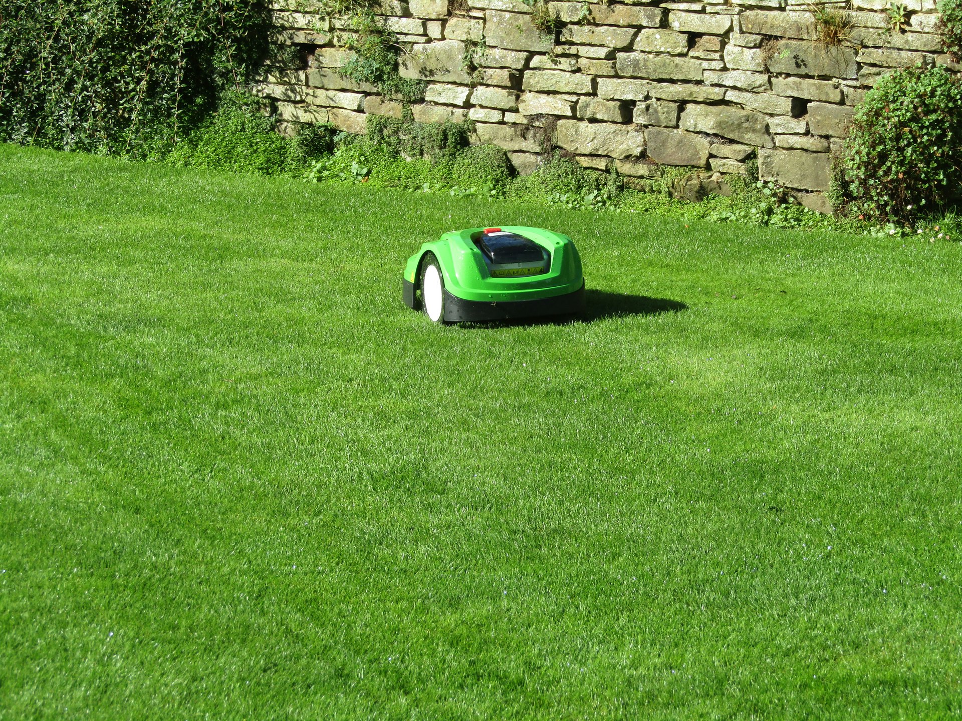 Entrepreneurs Start a Robotic Lawn Care Service Green Industry Pros