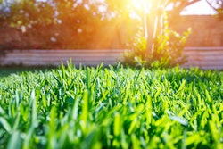 Beyond the Blade 5b44f160ea01d