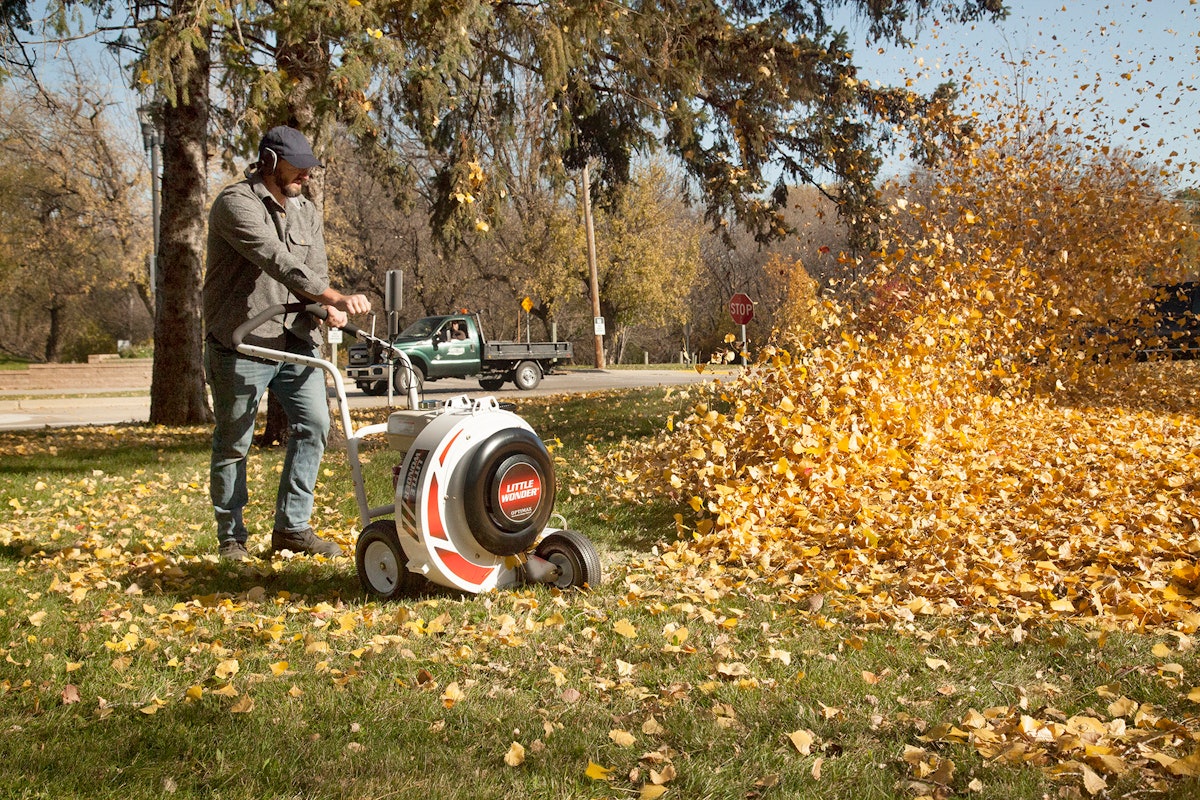 Little wonder leaf discount blower