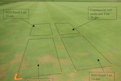 turf study photo3 5b44d4d16fdd8
