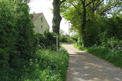 Overgrown hedges 5b844c7ec9957