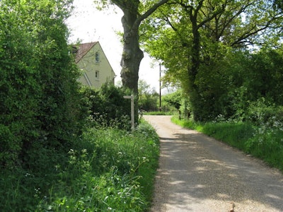 Overgrown hedges 5b844c7ec9957