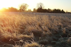 1280px Sunrise Over Warneford Meadow 030207