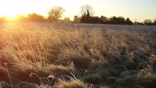 1280px Sunrise Over Warneford Meadow 030207