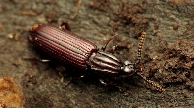 34470737522 C30e908457 K