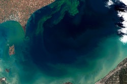 Toxic Algae Bloom In Lake Erie