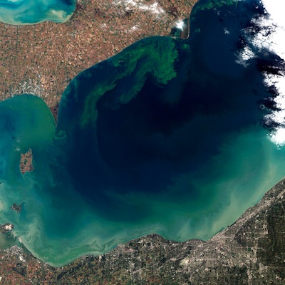 Toxic Algae Bloom In Lake Erie