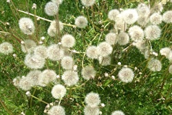 14059766868 731770d11d O