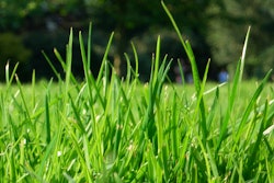 25371714 4e766b4a29 O