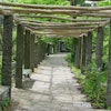 1280px G A P Weg Pergola