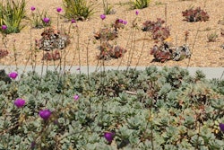 16561899583 1b16f6b5c1 K