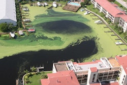 Florida Algae Bloom 02