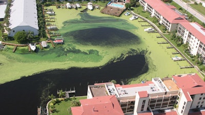 Florida Algae Bloom 02