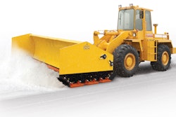 Winter Mod Skid Shoe Beauty