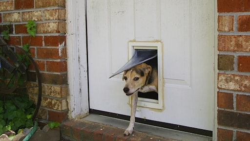 Doggy Door Exit