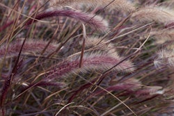 22292811201 3a478d721a K