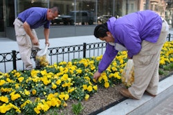 5623557193 Ce830c3984 B