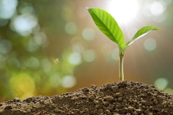 Getty Images 905623996