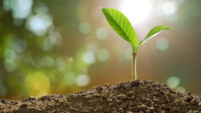 Getty Images 905623996