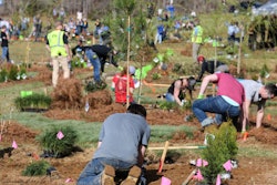 39094920650 D08785cef1 O 1024x683