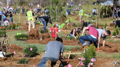 39094920650 D08785cef1 O 1024x683