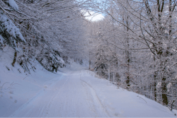 Snowy Road Px