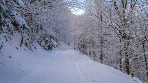 Snowy Road Px