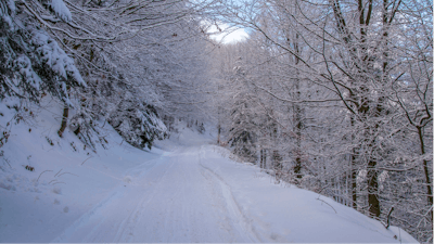 Snowy Road Px