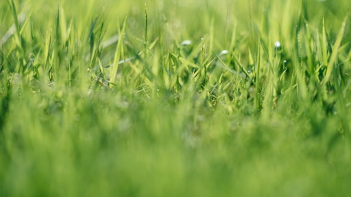 Grass Roots Us