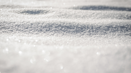 Are Your Customers Lawns Infected With Snow Mold Green