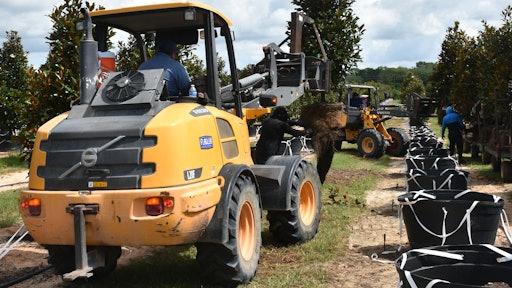 The loaders can be fitted with a customized tree boom attachment to transplant and move trees.