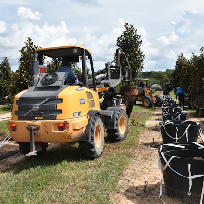 The loaders can be fitted with a customized tree boom attachment to transplant and move trees.