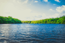 River Us