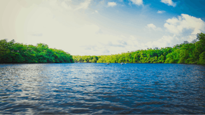 River Us