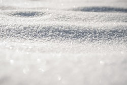 Snow Px