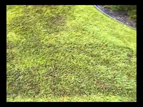 Hqdefault 5cc8b68315904