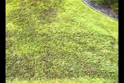 Hqdefault 5cc8b68315904